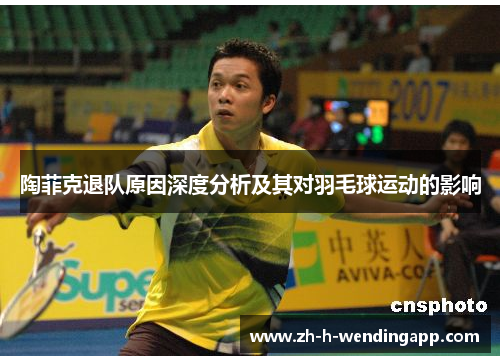 陶菲克退队原因深度分析及其对羽毛球运动的影响