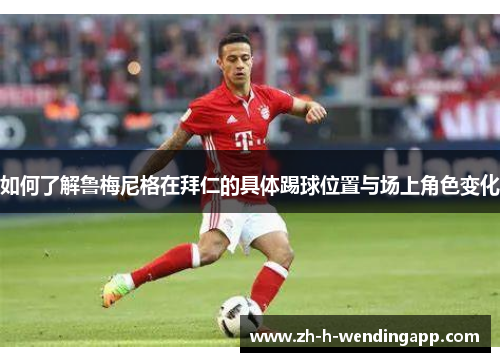 如何了解鲁梅尼格在拜仁的具体踢球位置与场上角色变化