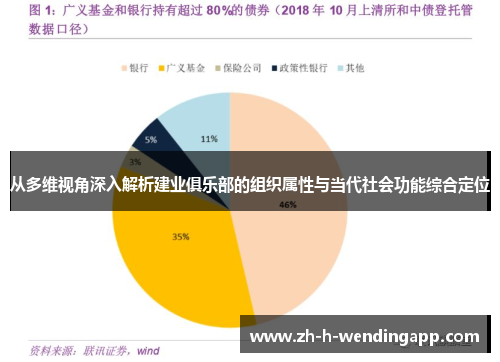 从多维视角深入解析建业俱乐部的组织属性与当代社会功能综合定位