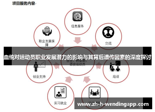 血统对运动员职业发展潜力的影响与其背后遗传因素的深度探讨